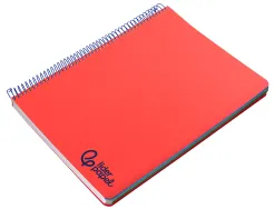 Cahier spirale liderpapel a4 micro wonder 240 pages 90g 5x5mm 4 trous 5 bandes couleurs rouge