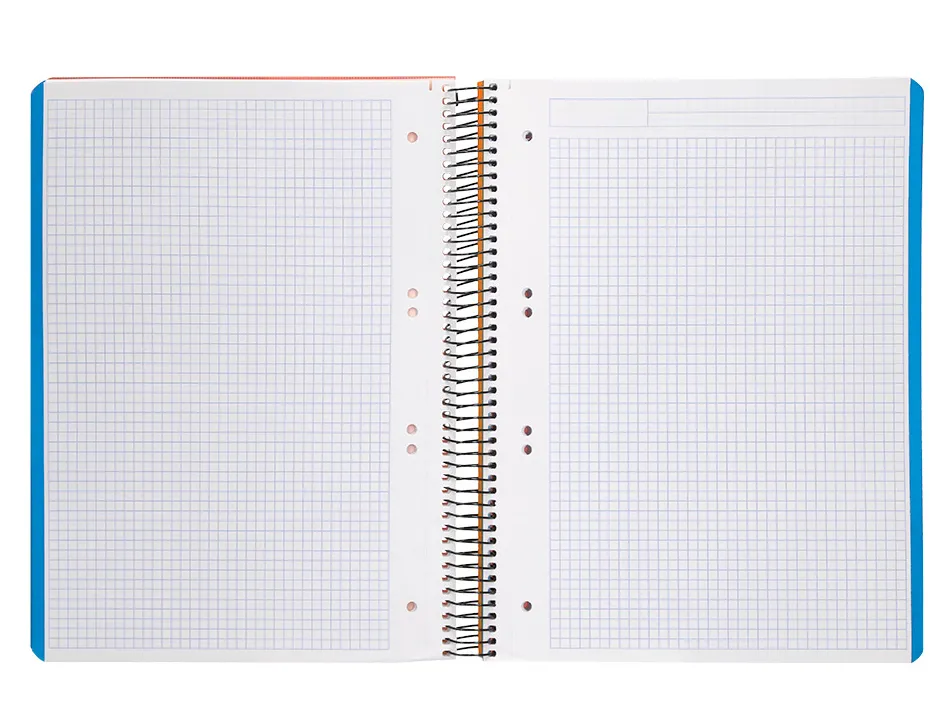 Cahier spirale liderpapel a5 micro wonder 240 pages 90g 5x5mm 6 trous 5 bandes couleurs vert clair