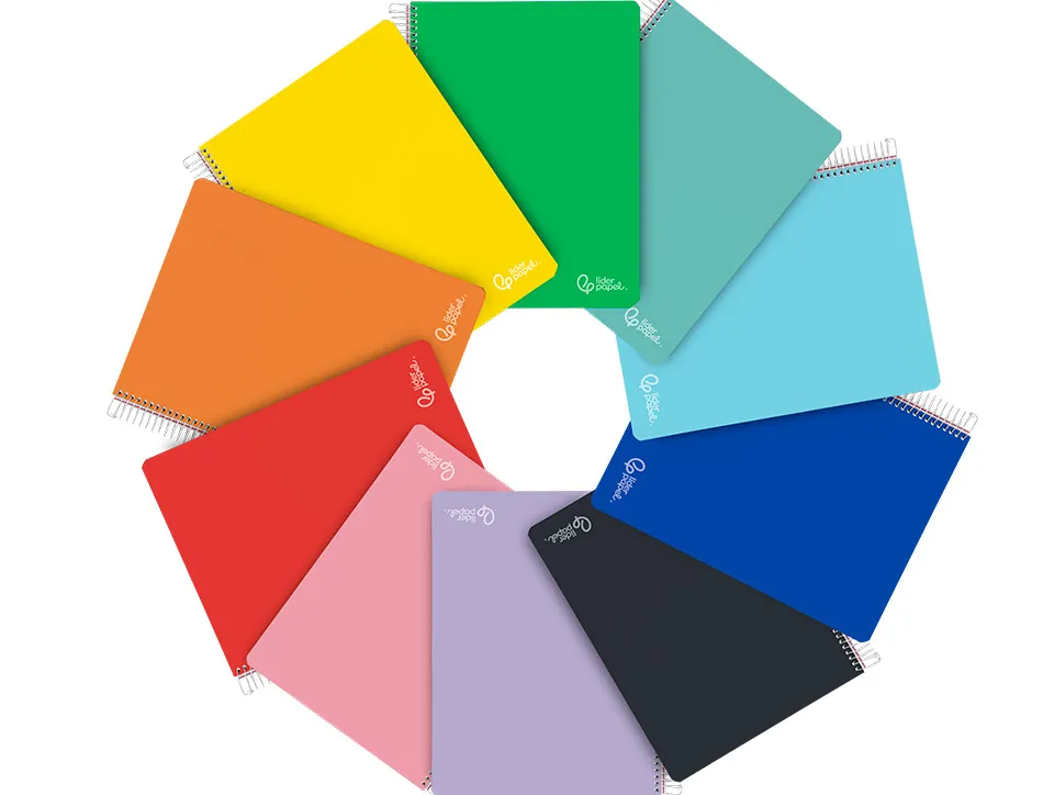 Cahier spirale liderpapel witty a4 couverture rigide 120 feuilles 90g/m2 5x5mm 4 trous perfores coloris