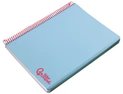 Cahier spirale liderpapel a4 micro wonder 240 pages 90g 5x5mm 4 trous 5 bandes couleurs bleu ciel