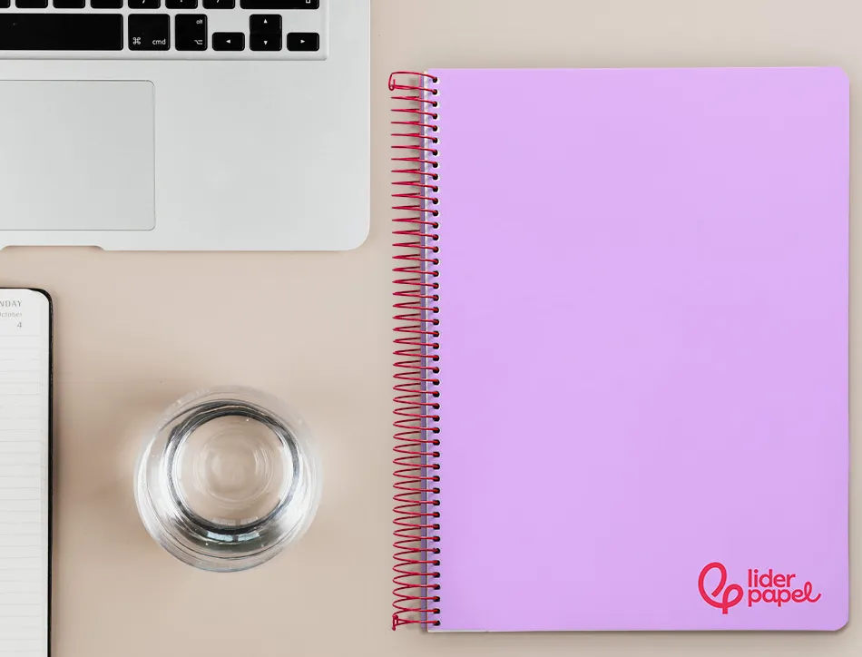 Cahier spirale liderpapel a4 micro wonder 240 pages 90g 5x5mm 4 trous 5 bandes couleurs violet