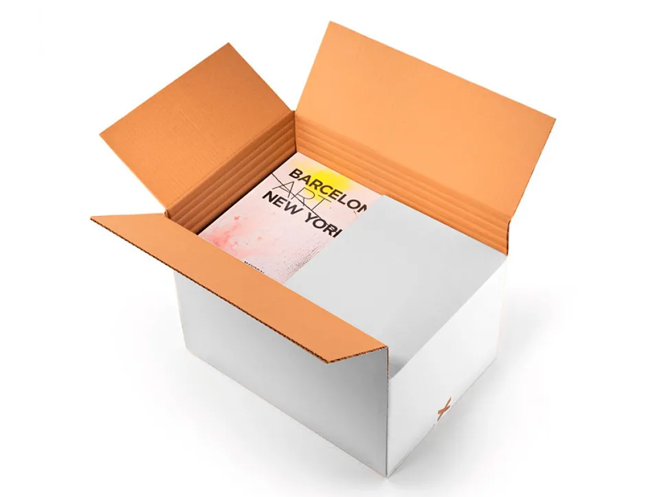 Caisse americaine q-connect ultra-resistante reglable en hauteur double cannelure 7mm 450x280x375mm coloris blanc