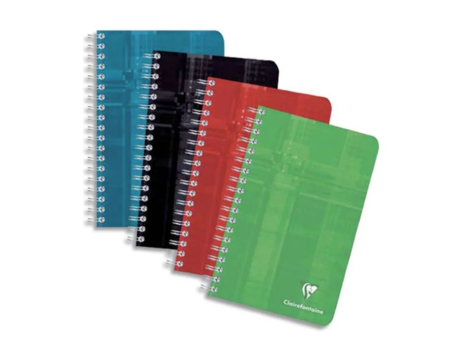 Carnet clairefontaine reliure intégrale papier vélin velouté couverture pelliculée lavable 11x17cm 100 pages 90g 5x5mm