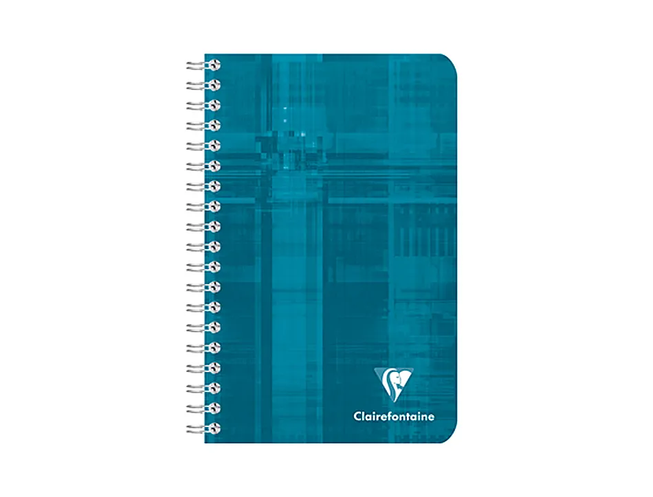 Carnet clairefontaine reliure intégrale papier vélin velouté couverture pelliculée lavable 11x17cm 100 pages 90g 5x5mm
