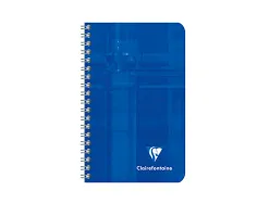 Carnet clairefontaine reliure intégrale papier vélin velouté couverture pelliculée lavable 7,5x12cm 100 pages 90g 4x4mm