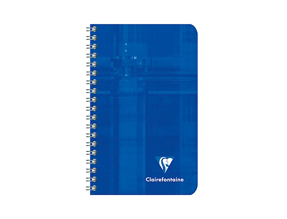 Carnet clairefontaine reliure intégrale papier vélin velouté couverture pelliculée lavable 7,5x12cm 100 pages 90g 4x4mm