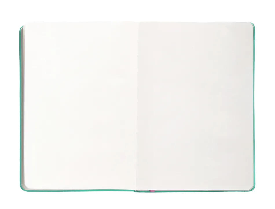Carnet fermeture elastique rose antartik notes couverture rigide a4 papier uni ivoire 100 feuilles 80gr fsc turquoise