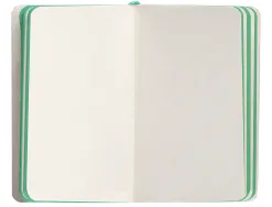 Carnet fermeture elastique vert menthe antartik notes couverture souple a6 papier uni ivoire 100 feuilles 80gr fsc gris