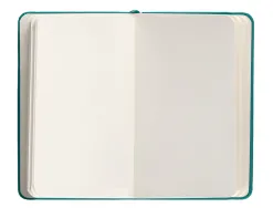 Carnet fermeture elastique antartik notes couverture rigide a6 papier uni ivoire 100 feuilles 80gr fsc vert paon