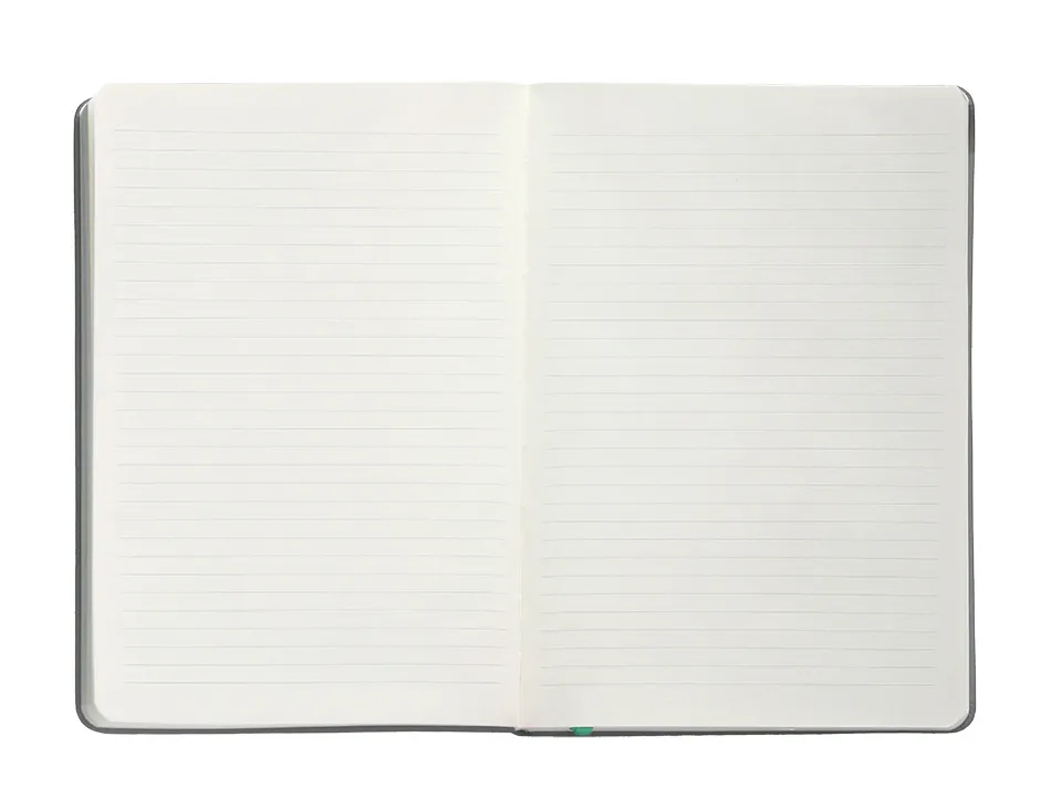 Carnet fermeture elastique turquoise antartik notes couverture rigide a4 ligne 100feuilles 80gr fsc coloris gris