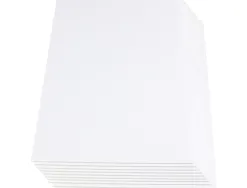 Carton entrecolle liderpapel adhesif 50x70cm epaisseur 5mm unicolore blanc