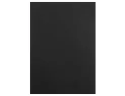 Carton plume liderpapel double-face 70x100cm epaisseur 5mm coloris noir