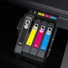 Cartouche epson 35 cadenas t35844010 couleur jaune