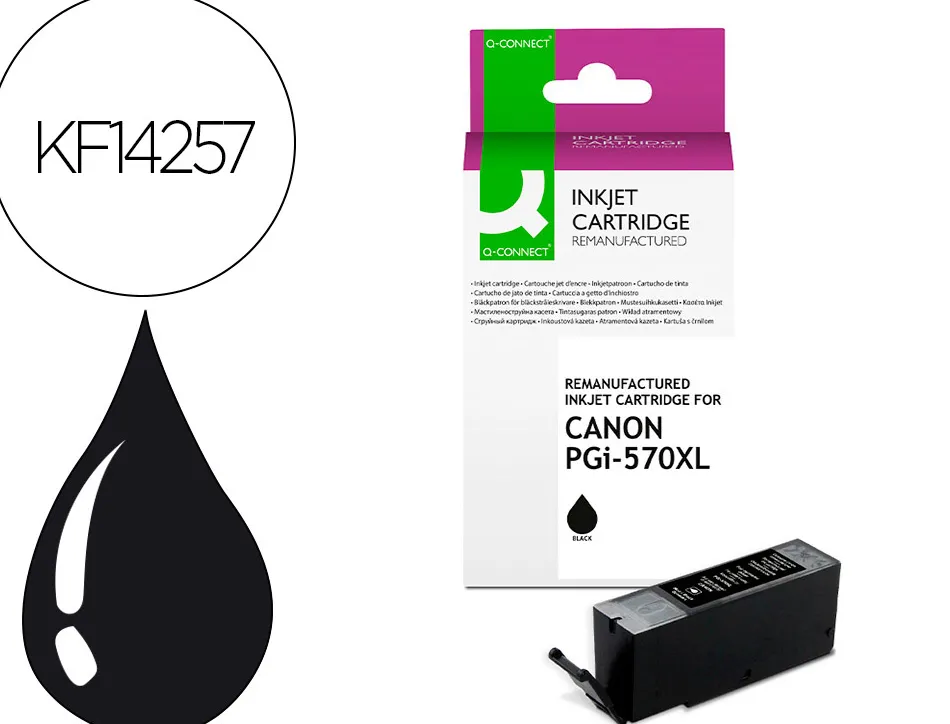 Cartouche q-connect jet d'encre compatible canon pgi-570xl 700p couleur noir