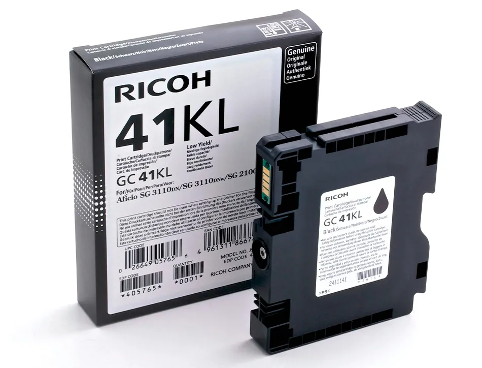 Cartouche ricoh gc41l jet d'encre 405765 pour sg2100n couleur noir 600p