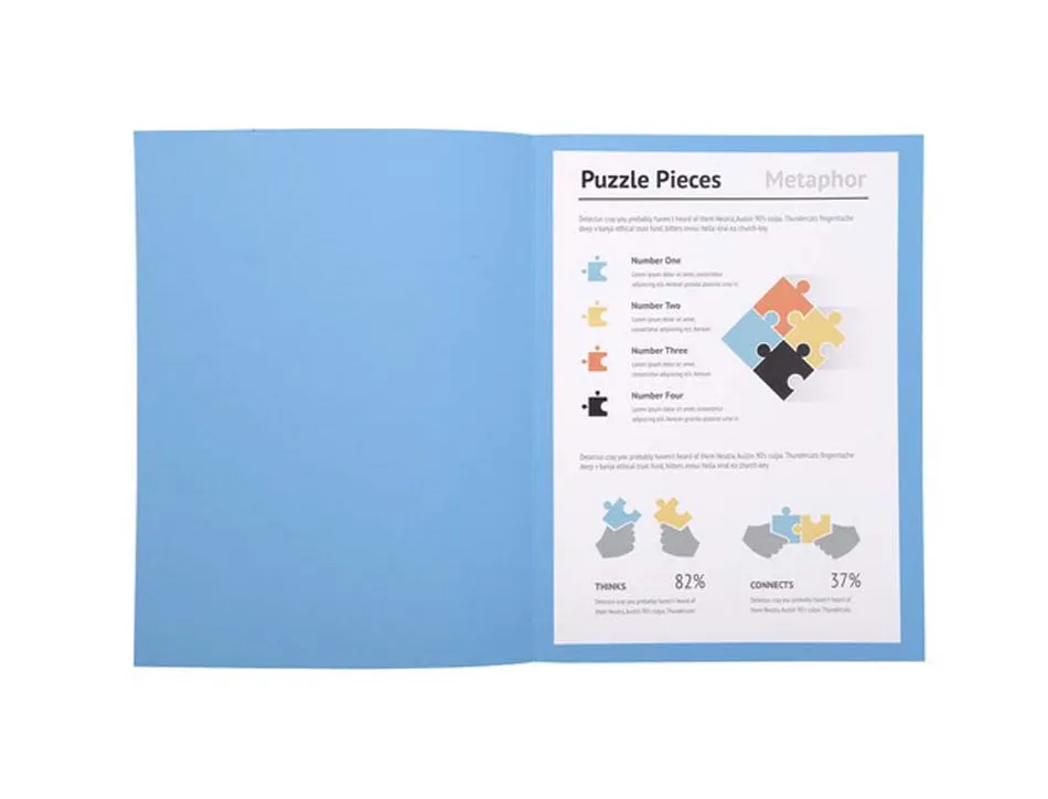 Chemise dossier exacompta qualite superieure a4 24x32cm 210g coloris bleu lot de 10