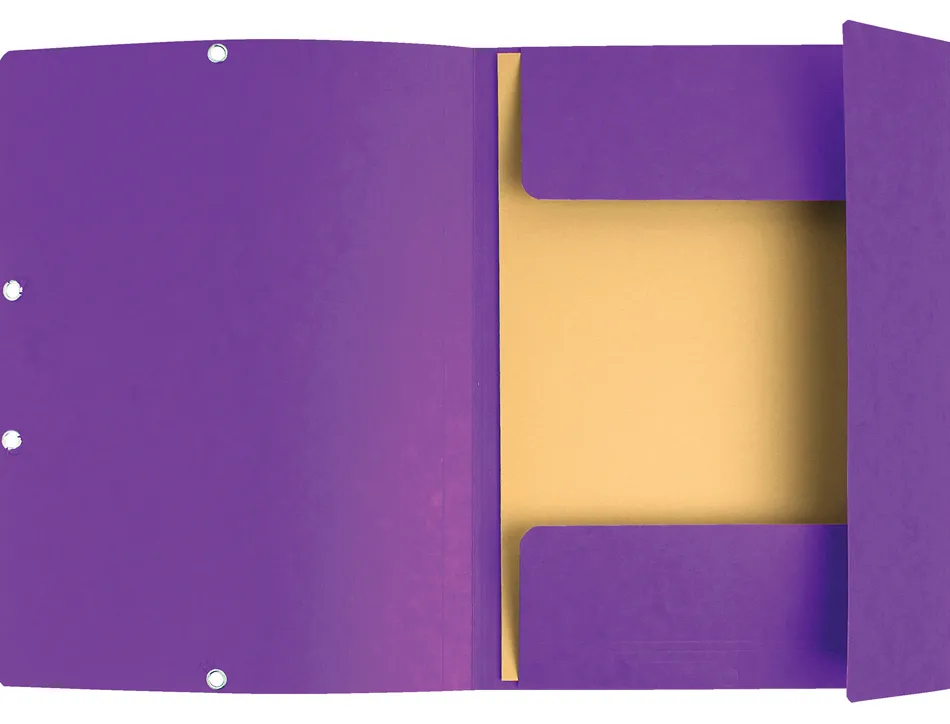 Chemise exacompta 3 rabats carte lustree 355gr a4 fermeture elastique etiquette coloris violet lot 10 unites