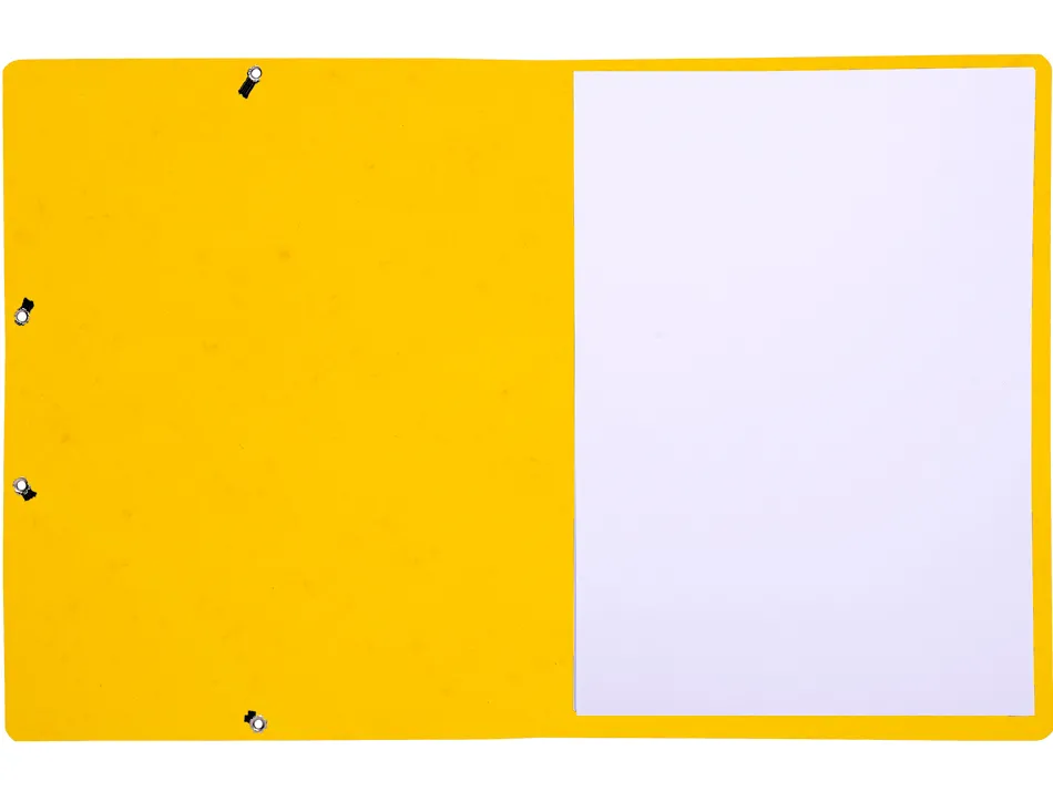 Chemise exacompta carte lustree 350gr a4 fermeture elastique sans rabat sans etiquette coloris jaune lot de 10