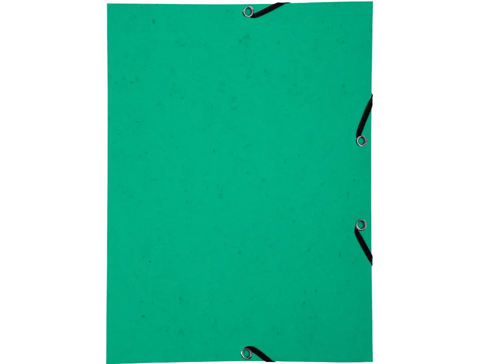 Chemise exacompta carte lustree 350gr a4 fermeture elastique sans rabat sans etiquette coloris vert lot 10