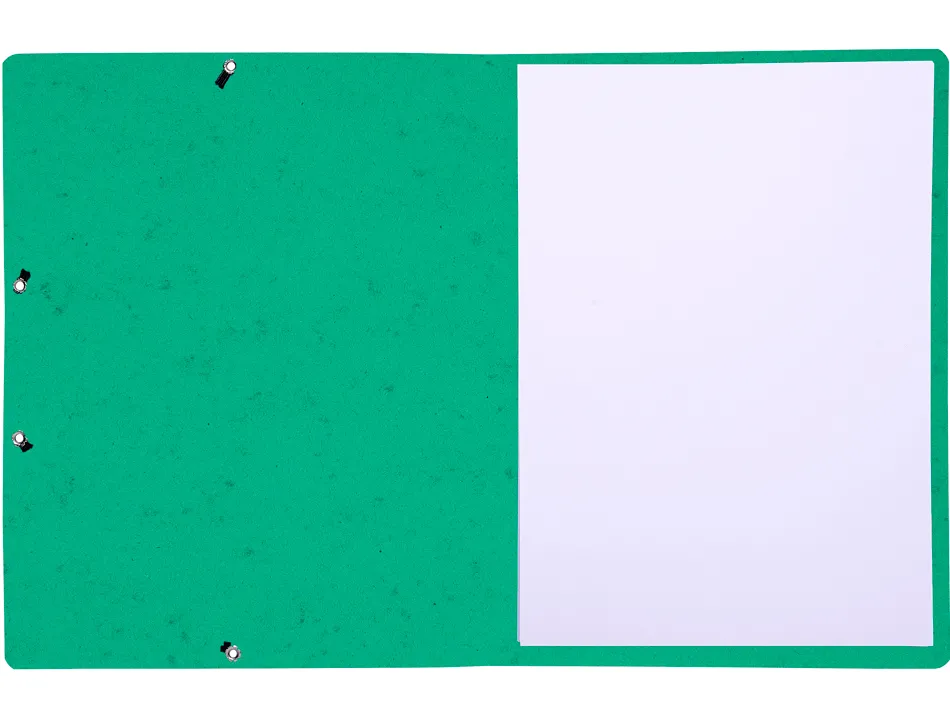 Chemise exacompta carte lustree 350gr a4 fermeture elastique sans rabat sans etiquette coloris vert lot 10