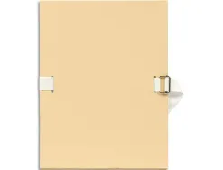 Chemise exacompta carton papier toilé 240x320mm dos extensible 120mm sangle coton boucle crantée coloris mastic