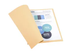 Chemise exacompta forever carte recyclée 220g a4 24x32cm coloris bulle paquet 100 unités
