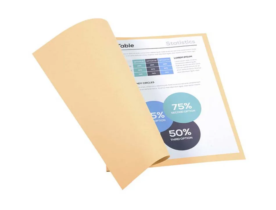 Chemise exacompta forever carte recyclée 220g a4 24x32cm coloris bulle paquet 100 unités