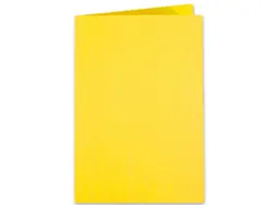 Chemise exacompta forever carte recyclée 220g a4 24x32cm coloris jaune paquet 100 unités