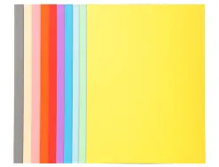 Chemise exacompta forever carte semi rigide recyclée 240x320mm 170g coloris assortis lot 100 unités