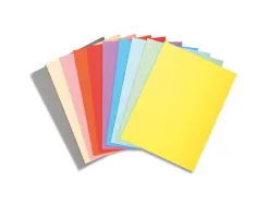 Chemise exacompta forever carte semi rigide recyclée 240x320mm 170g coloris assortis lot 100 unités