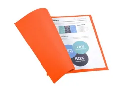 Chemise exacompta forever carte recyclée 220g a4 24x32cm coloris orange paquet 100 unités