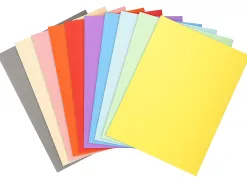 Chemise exacompta forever carte recyclée 220g a4 24x32cm coloris assortis paquet 100 unités