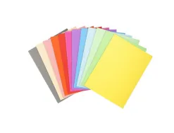 Chemise exacompta forever carte recyclée 220g a4 24x32cm coloris assortis paquet 100 unités