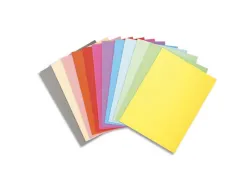 Chemise exacompta forever carte recyclée 220g a4 24x32cm coloris assortis paquet 100 unités