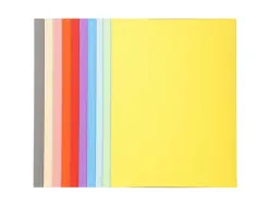 Chemise exacompta forever carte recyclée 220g a4 24x32cm coloris assortis paquet 100 unités