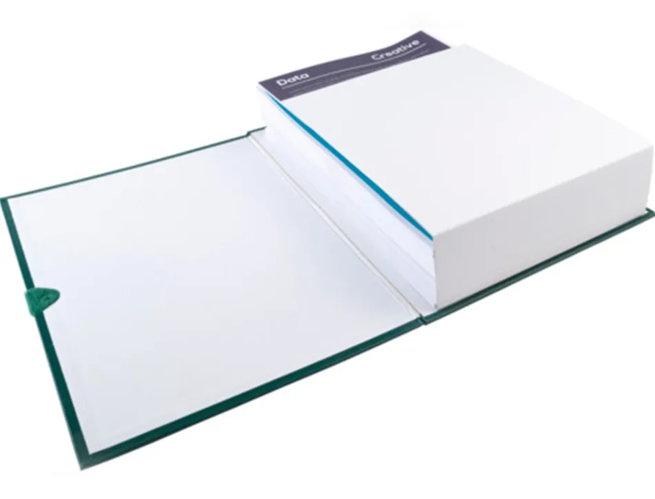 Chemise exacompta rabat en pied balacron a4 dos extensible 13cm sangle scratch coloris vert