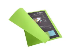Chemise exacompta rock's carte 210g a4 24x32cm coloris vert empire paquet 100 unités