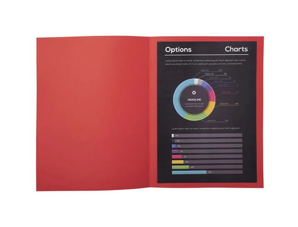 Chemise exacompta rock's 240x320mm 210g coloris rouge pack 100 unités