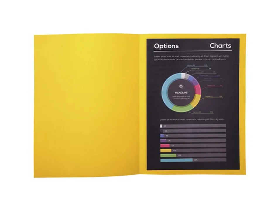 Chemise exacompta rock's 240x320mm 210g coloris citron pack 100 unités