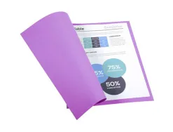 Chemise exacompta standard 24x32cm 220g a4 21x29,7cm coloris lilas pack 100 unités