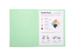 Chemise exacompta super carte 240x320mm 210g coloris vert clair pack 100 unités