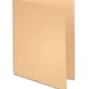 Chemise exacompta super carte 240x320mm 210g coloris pastel pack 100 unités