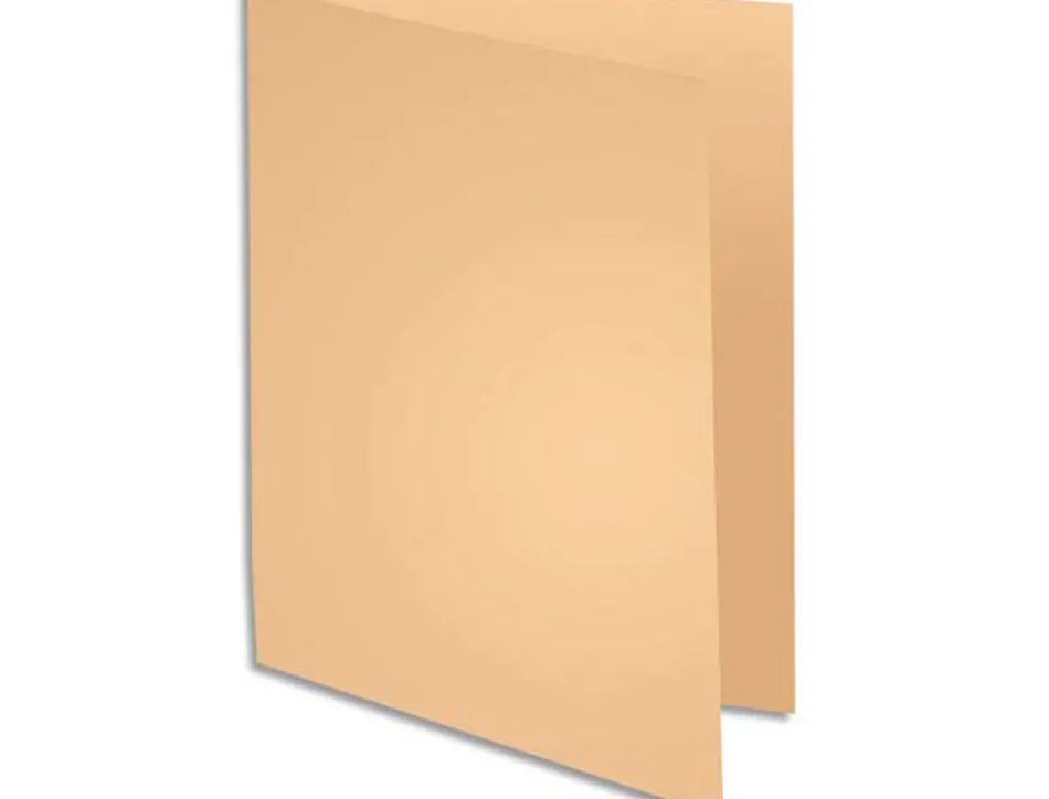 Chemise exacompta super carte 240x320mm 210g coloris pastel pack 100 unités