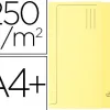 Chemise exacompta super pastel pochette carte neuve rabat 210g coloris canari lot 50 unités