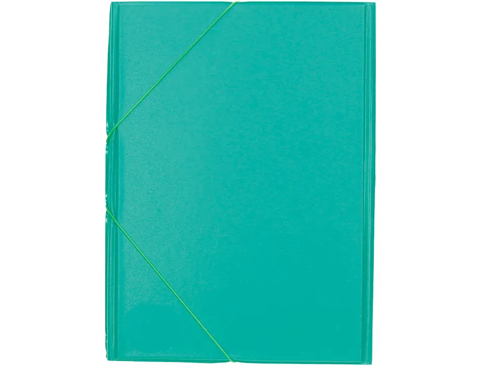 Chemise liderpapel carton rembordé dos flexible a4+ 320x240mm 3 rabats élastique coloris vert pistache