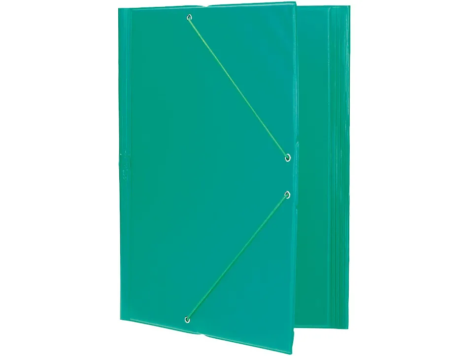 Chemise liderpapel carton rembordé dos flexible a4+ 320x240mm 3 rabats élastique coloris vert pistache