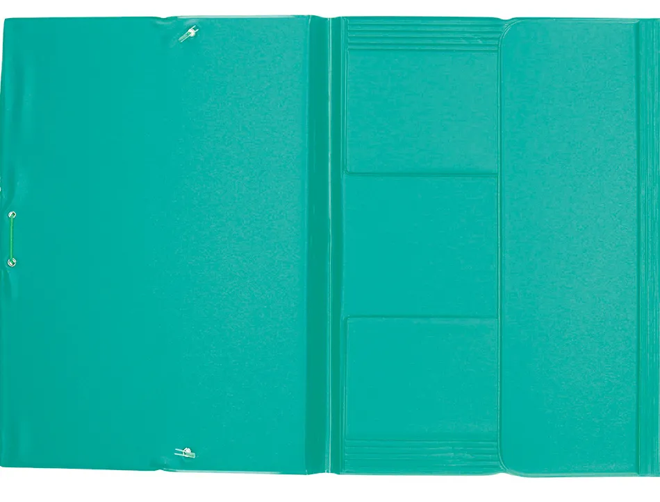 Chemise liderpapel carton rembordé dos flexible a4+ 320x240mm 3 rabats élastique coloris vert pistache