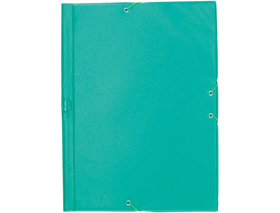 Chemise liderpapel carton rembordé dos flexible a4+ 320x240mm 3 rabats élastique coloris vert pistache