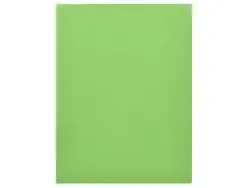 Chemise liderpapel papier cartonne 180g 310x230mm document a4 210x297mm coloris pastel vert intense