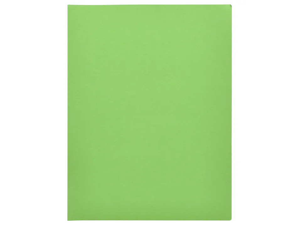 Chemise liderpapel papier cartonne 180g 310x230mm document a4 210x297mm coloris pastel vert intense